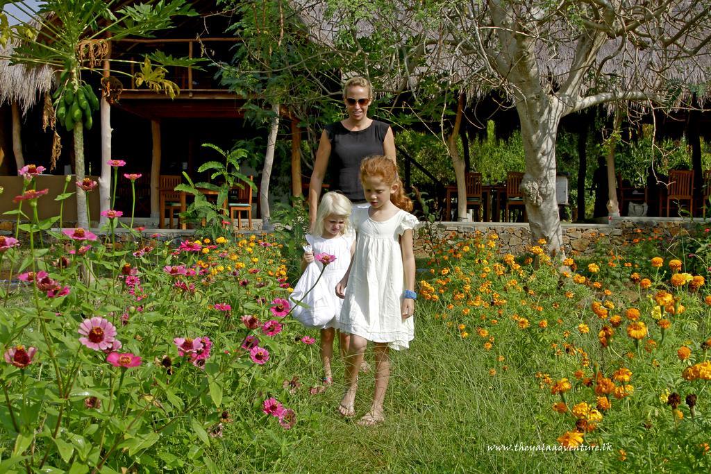 Hotel The Yala Adventure à Tissamaharama Extérieur photo
